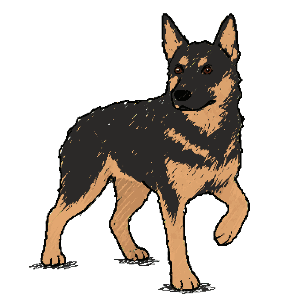 Archive illustration of Ape, a black-and-tan German shepherd with upright ears and a broad chest, standing with one forepaw slightly raised.