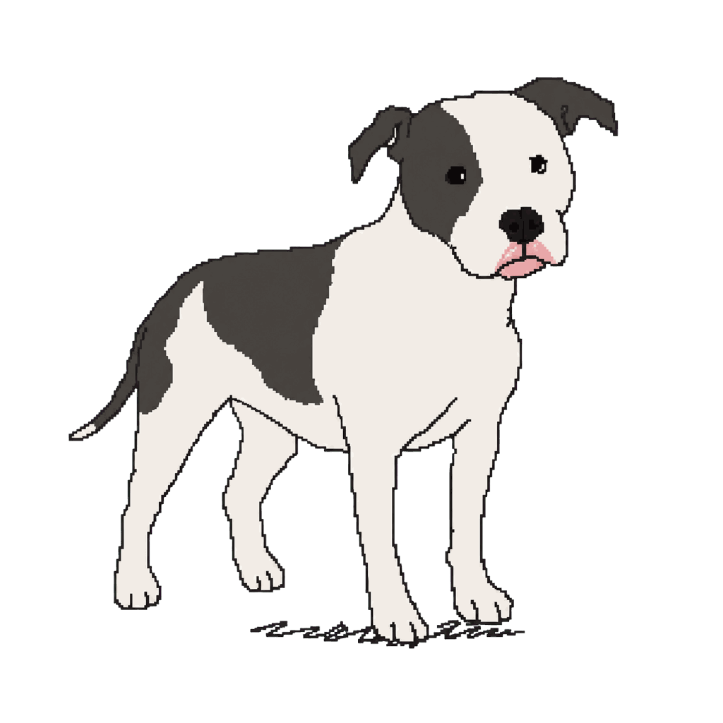 Archive illustration of Appa, Domestic dog.