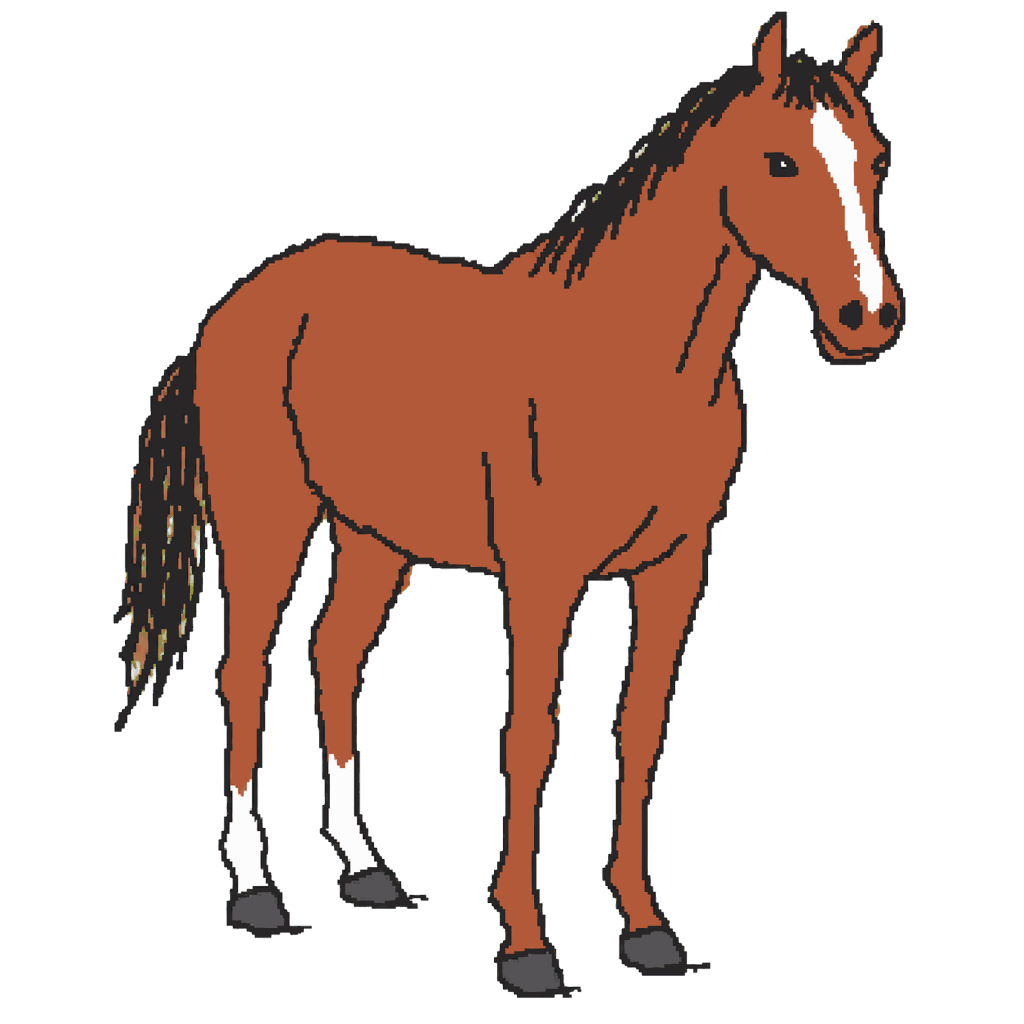 Archive illustration of Barbaro, Thoroughbred racehorse.