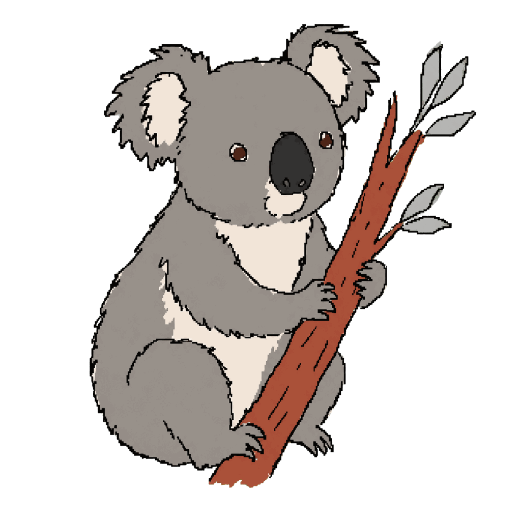 Archive illustration of Cape Bridgewater koalas, Koalas.