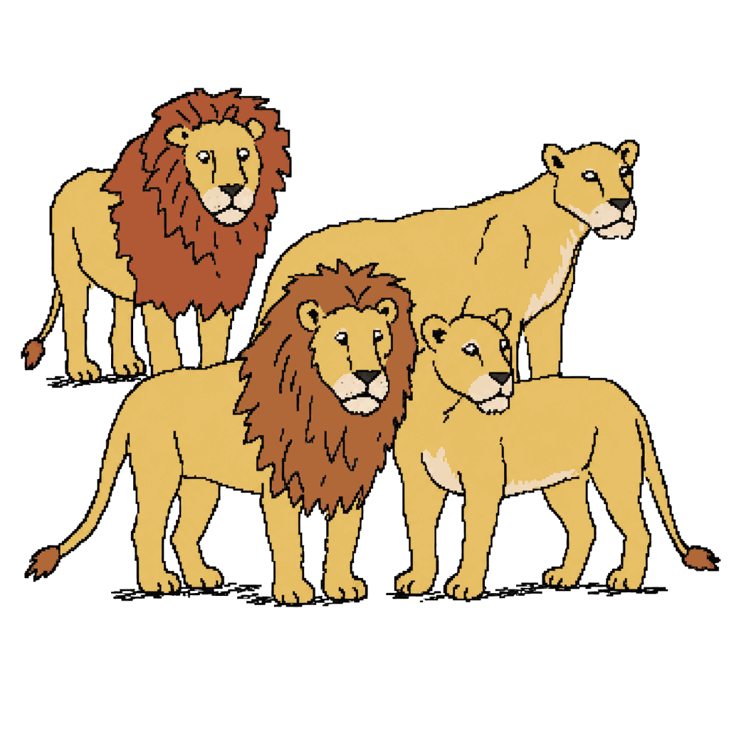 Archive illustration of Copenhagen Zoo's four lions, African lions.