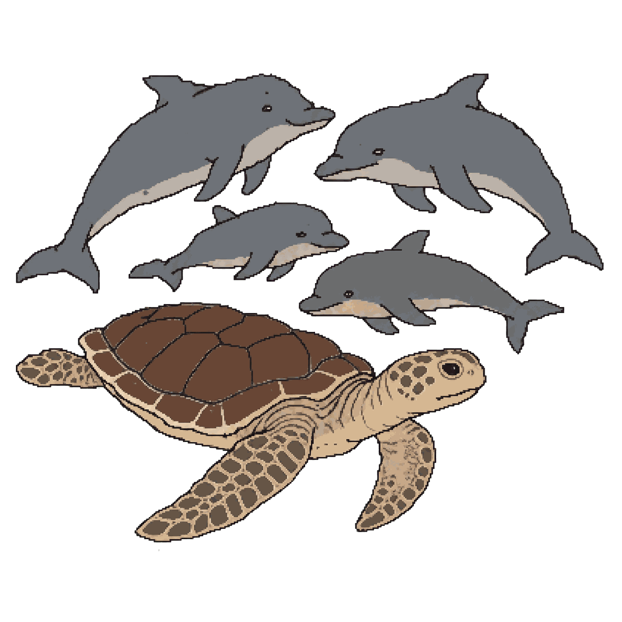Archive portrait of Sea turtles and cetaceans, Sea turtles and cetaceans.