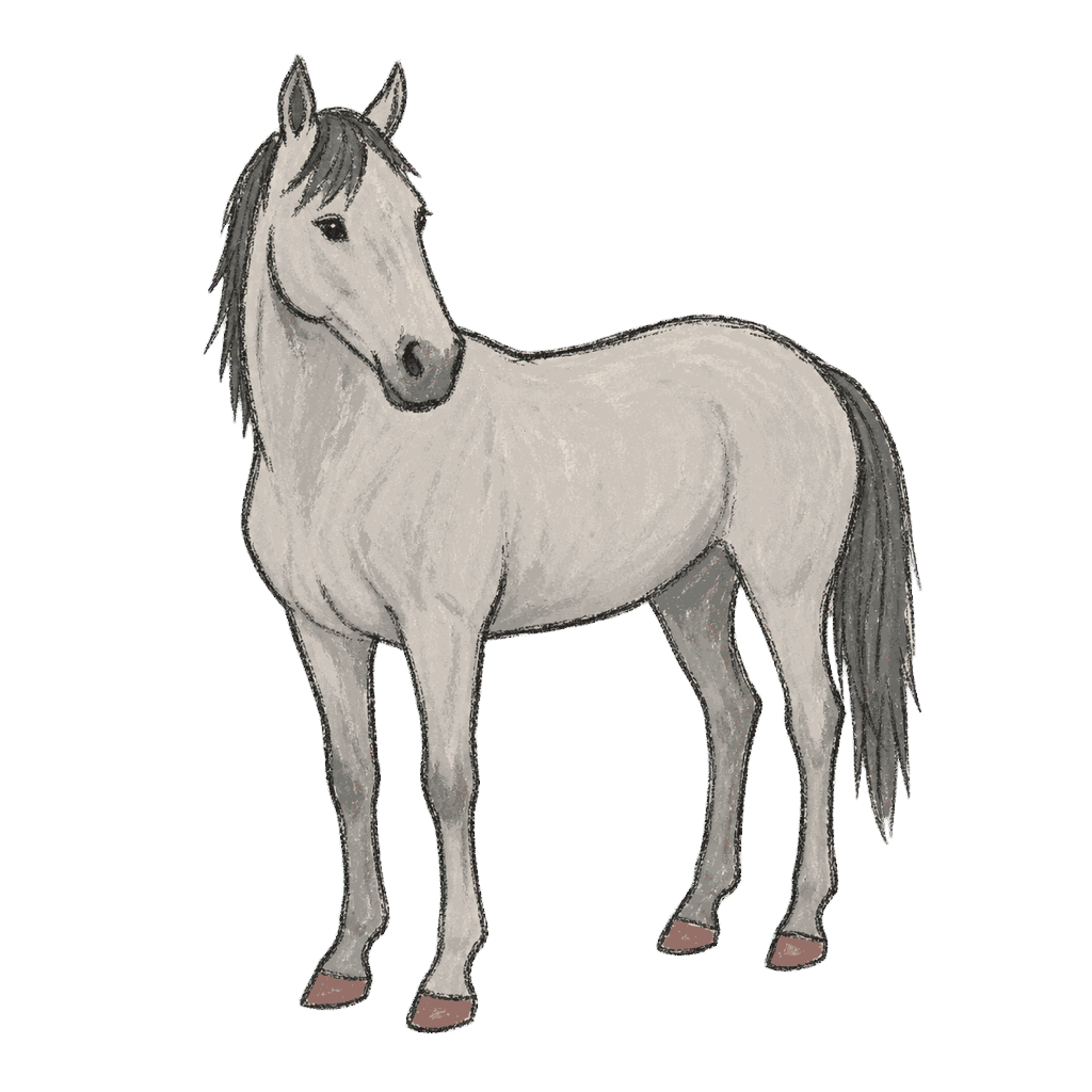 Archive portrait of Eight Belles, Thoroughbred racehorse.