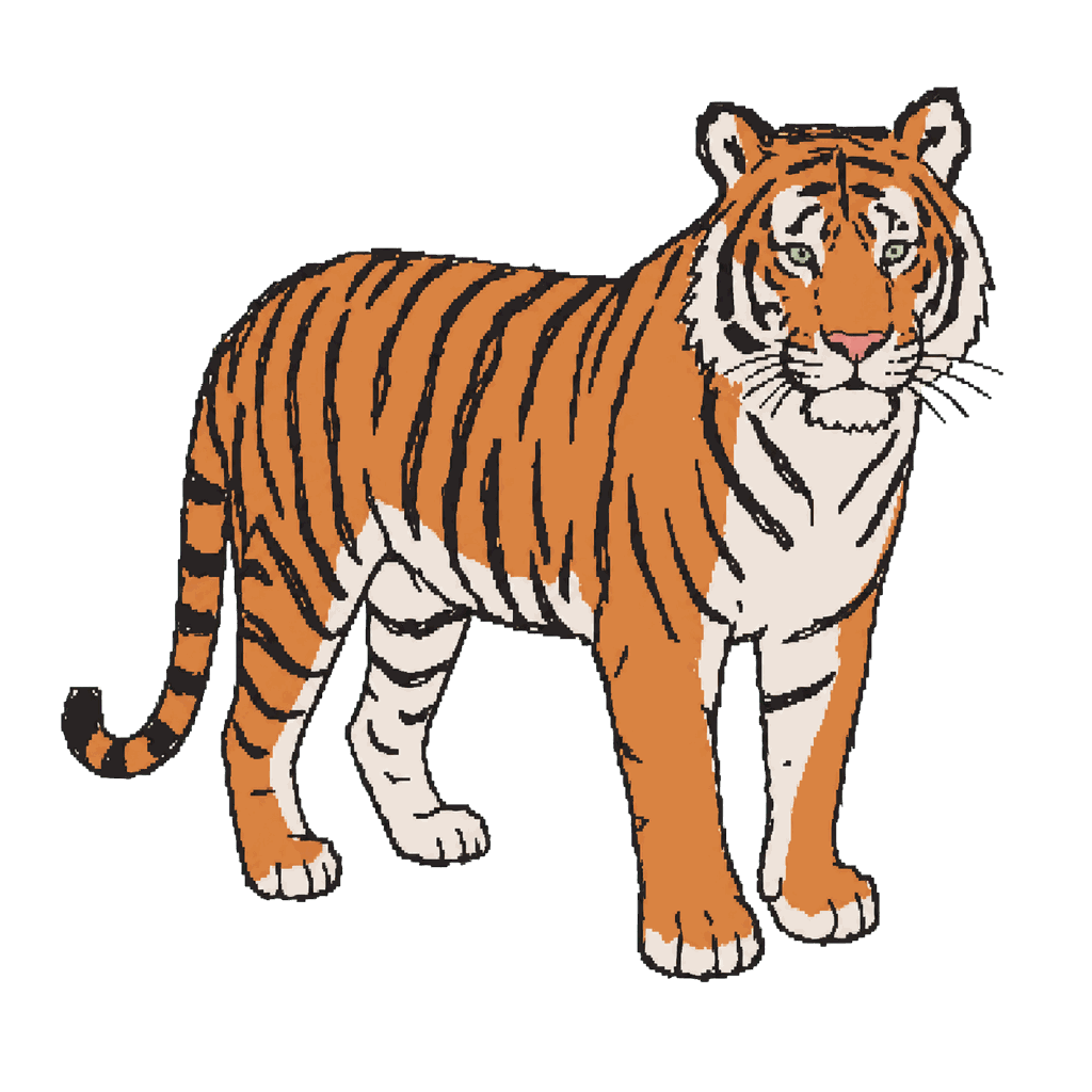 Archive illustration of Eko, Malayan tiger.