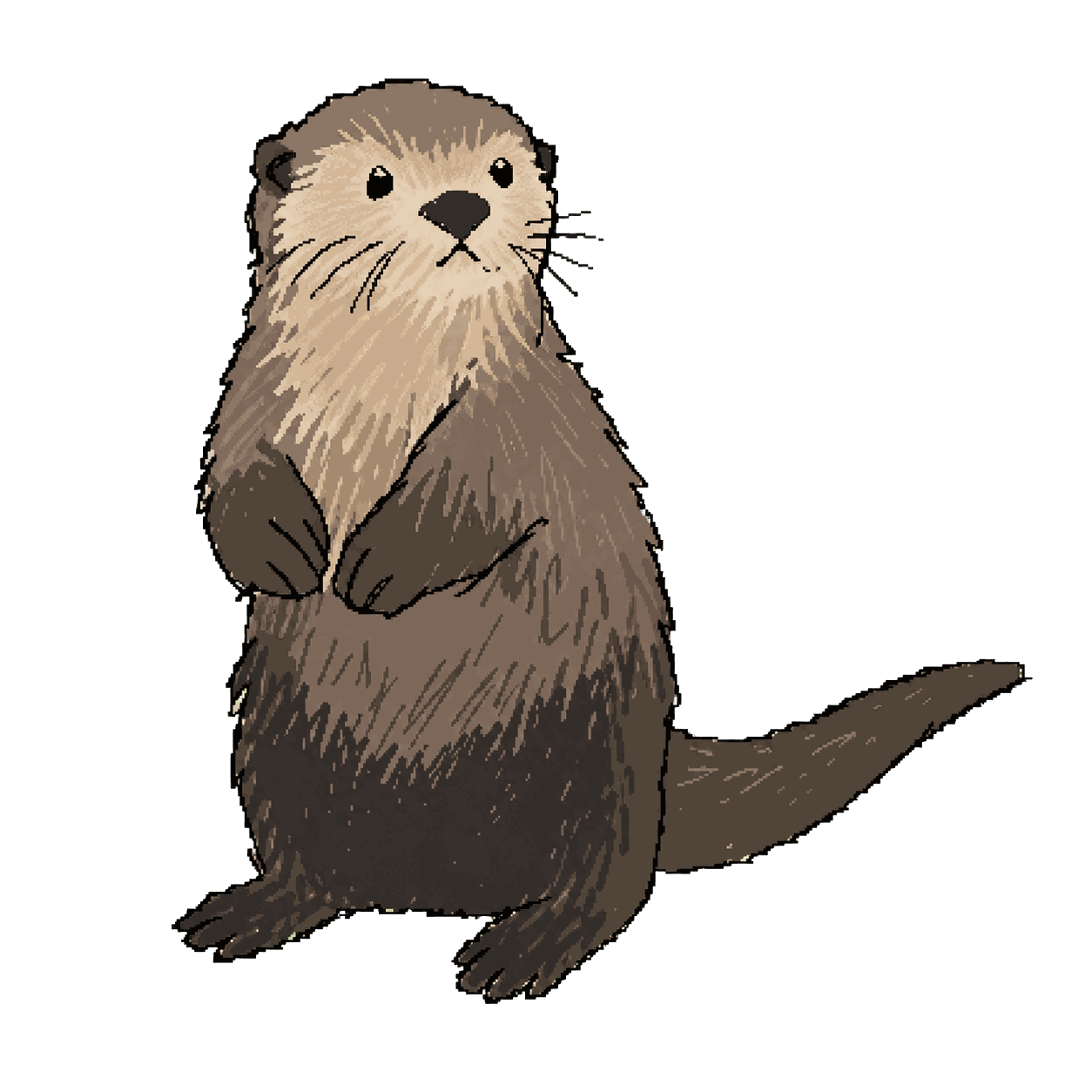 Archive portrait of Sea otters, Sea otters.
