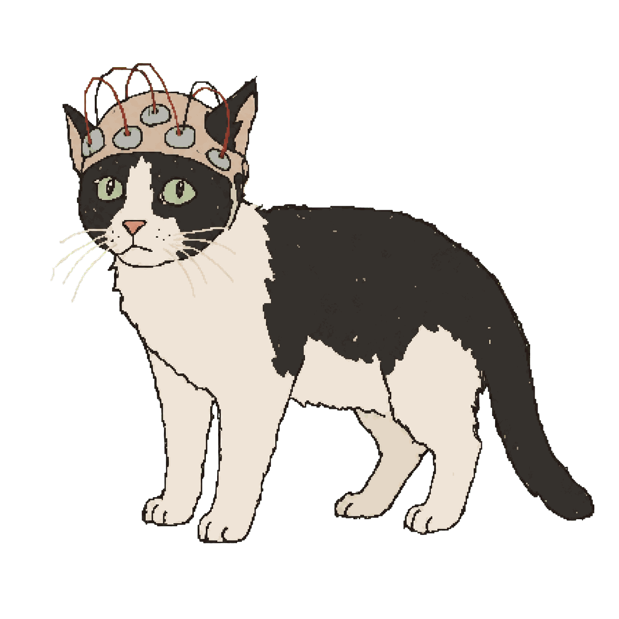 Archive portrait of Félicette, Domestic cat.