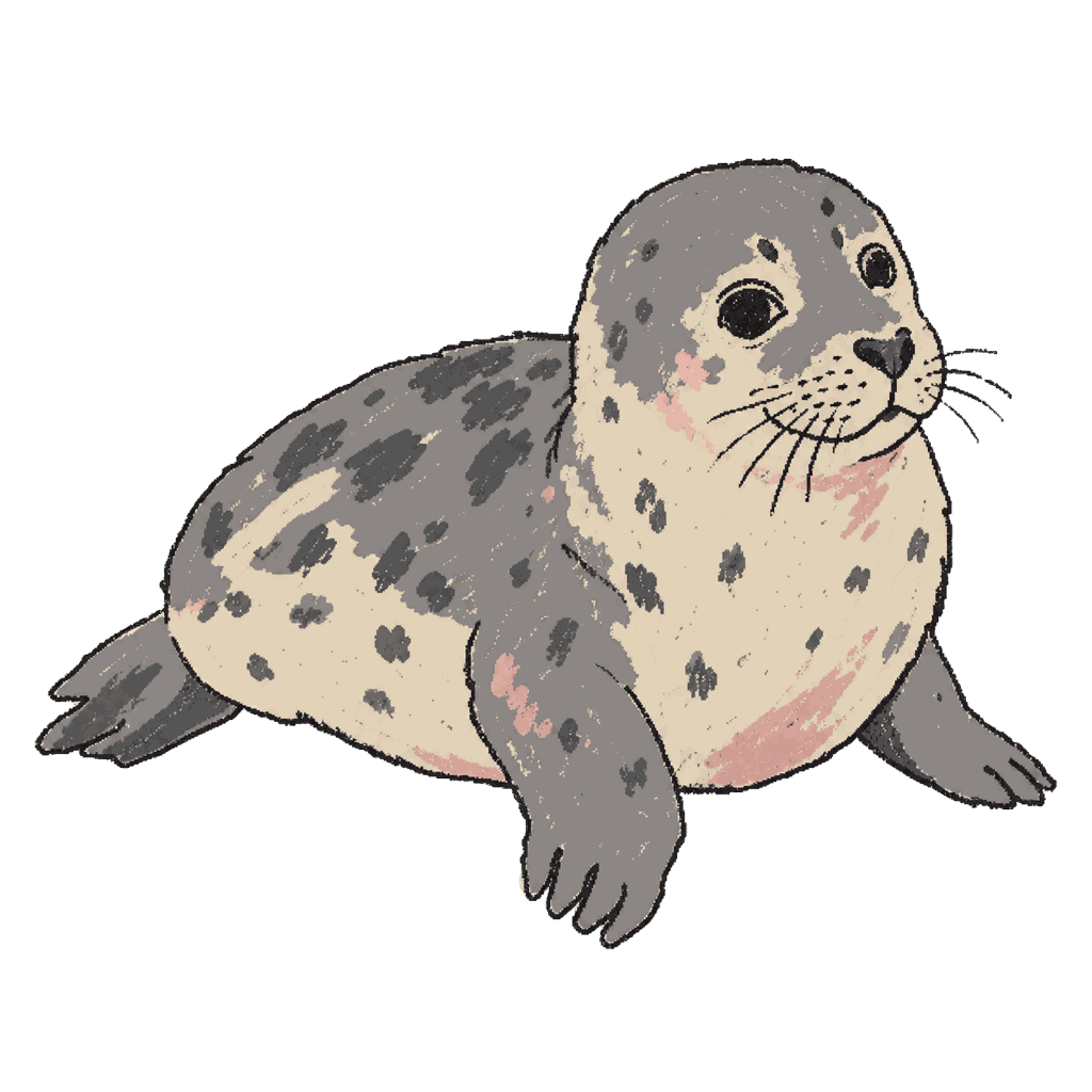 Archive portrait of Freddie Mercury, Grey seal.