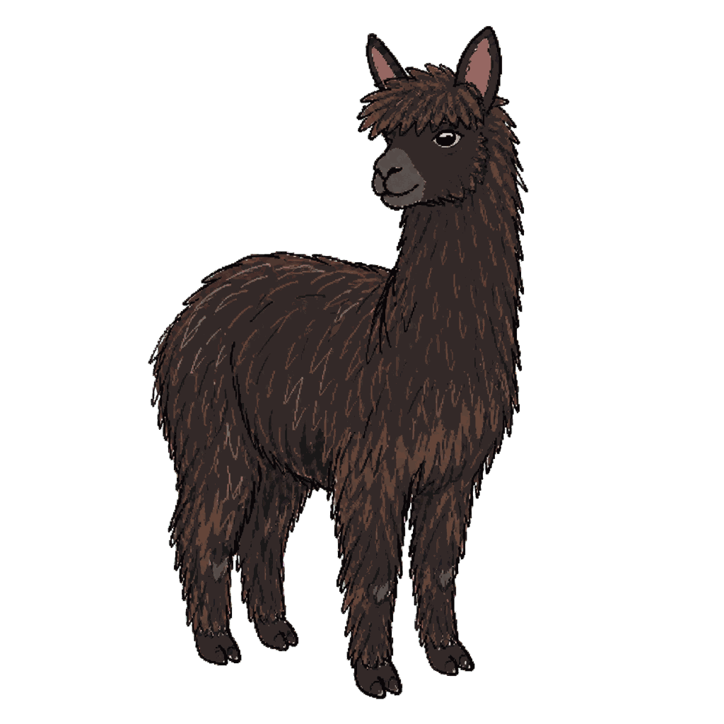 Archive portrait of Geronimo, Alpaca.