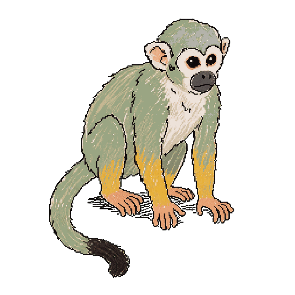 Archive illustration of Goliath, Squirrel monkey.