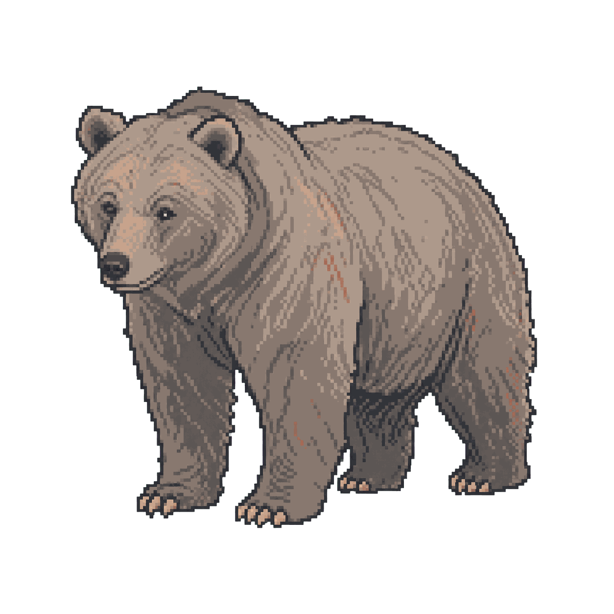Archive illustration of Grizzly 399, Grizzly bear.