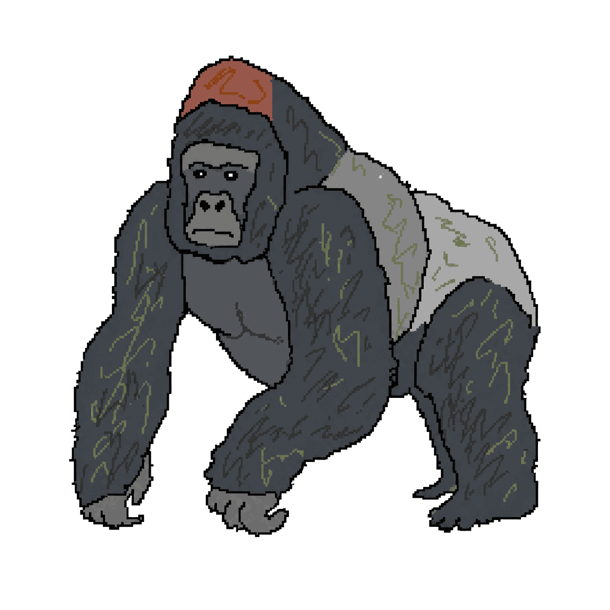 Archive portrait of Harambe, Western lowland gorilla.