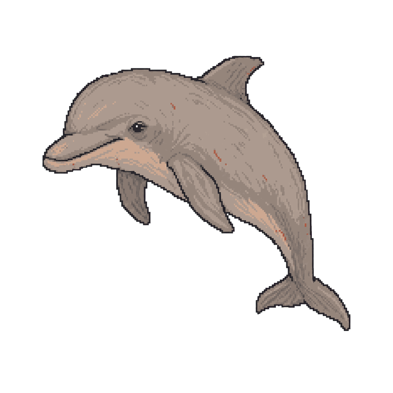 Archive illustration of Honey, Common bottlenose dolphin.