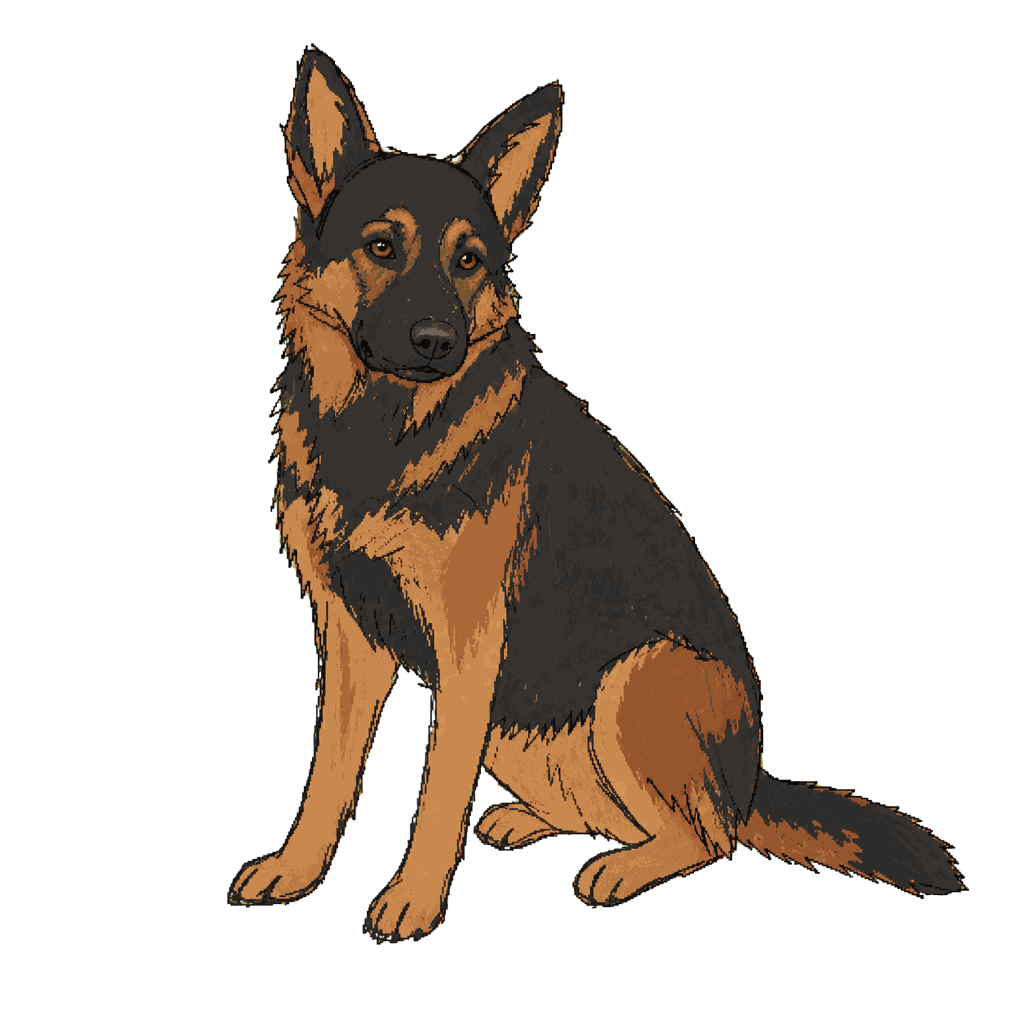 Archive portrait of Jethro, German Shepherd.