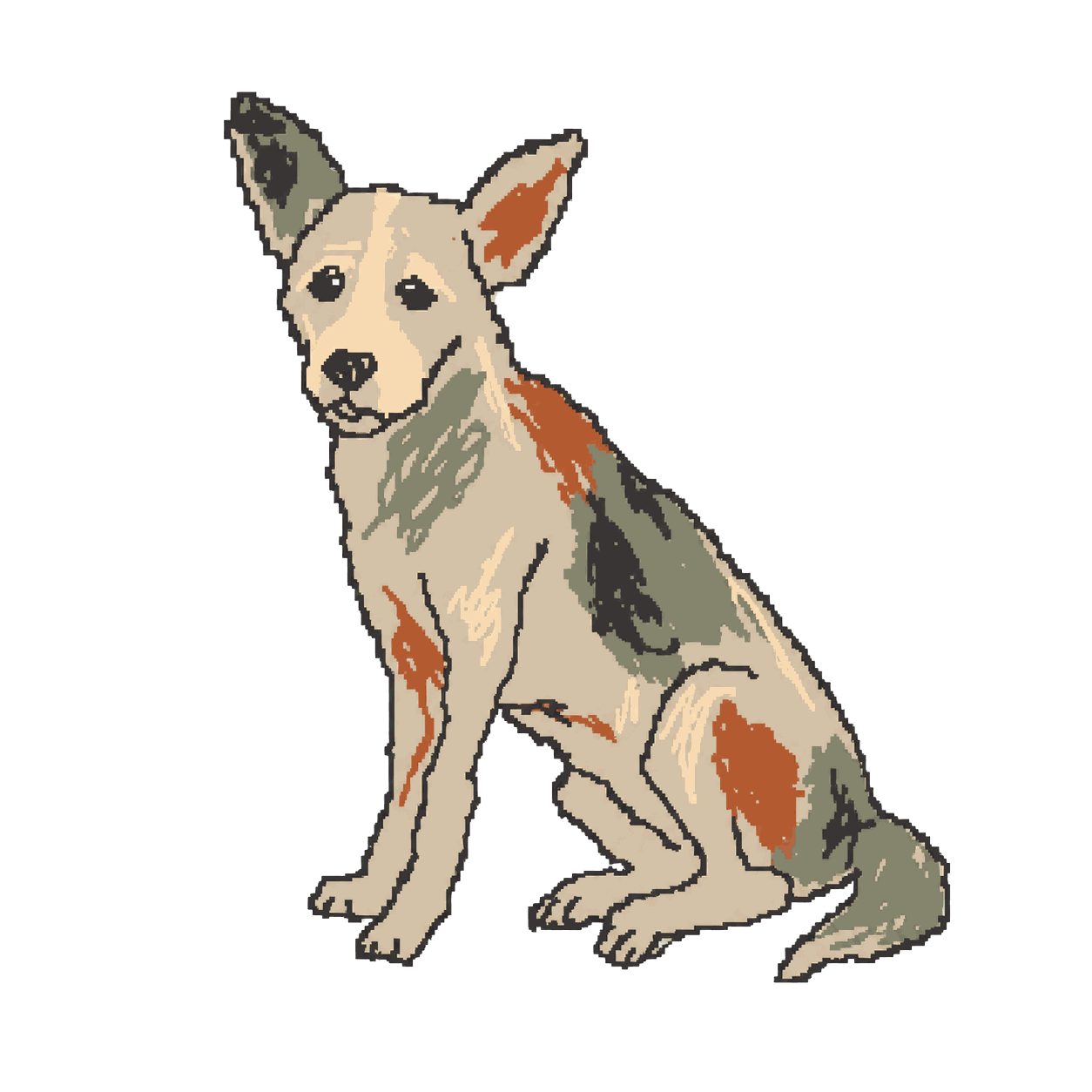 Archive portrait of Laika, Domestic dog.