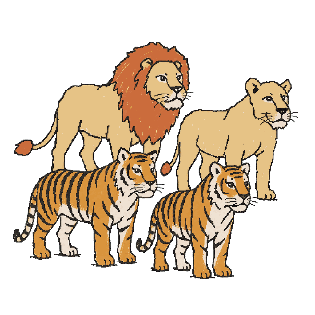 Archive illustration of Luján Zoo lions and tigers, Lions and tigers.