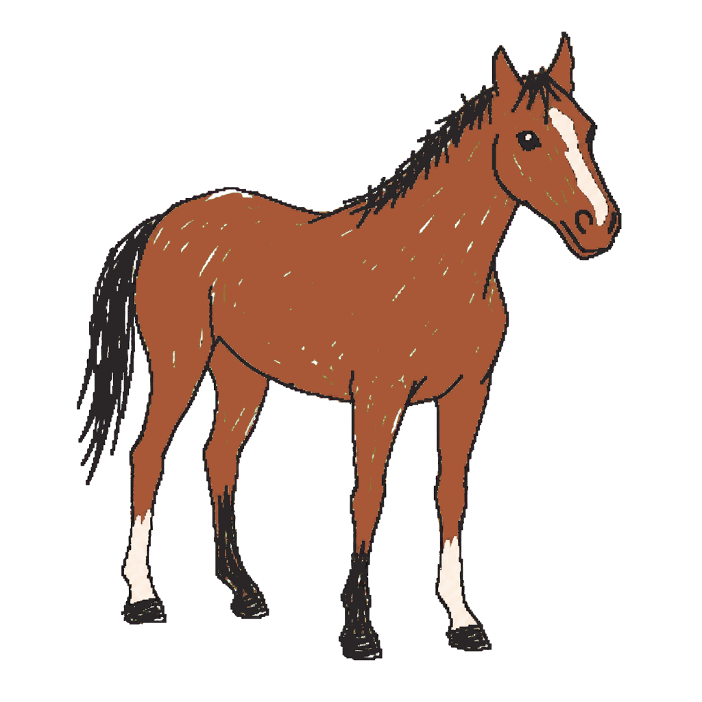 Archive illustration of Maple Leaf Mel, Thoroughbred racehorse.