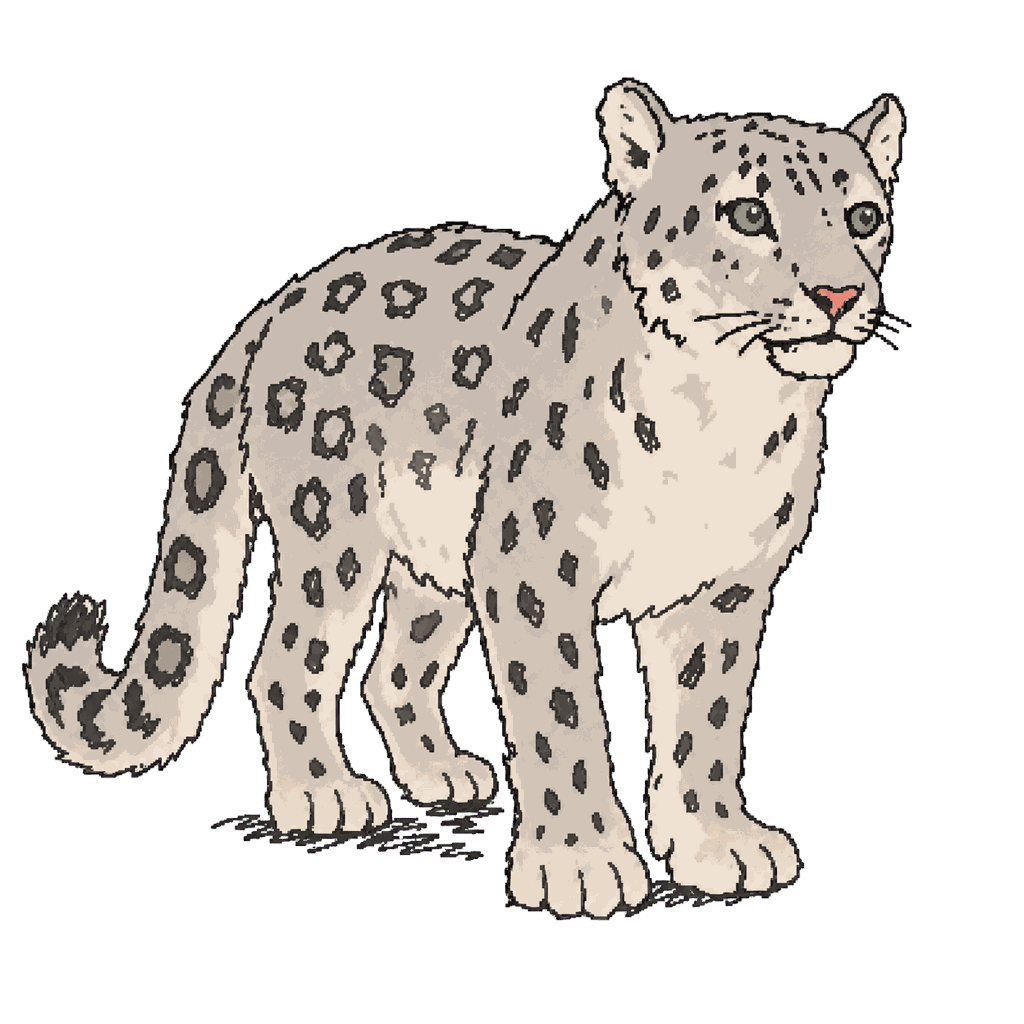 Archive illustration of Margaash, Snow leopard.