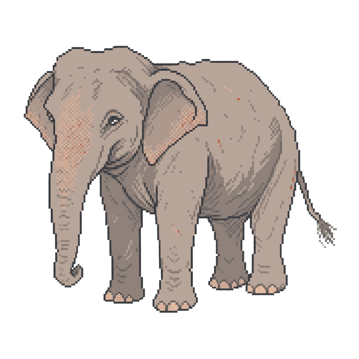 Archive illustration of Mary, Asian elephant.