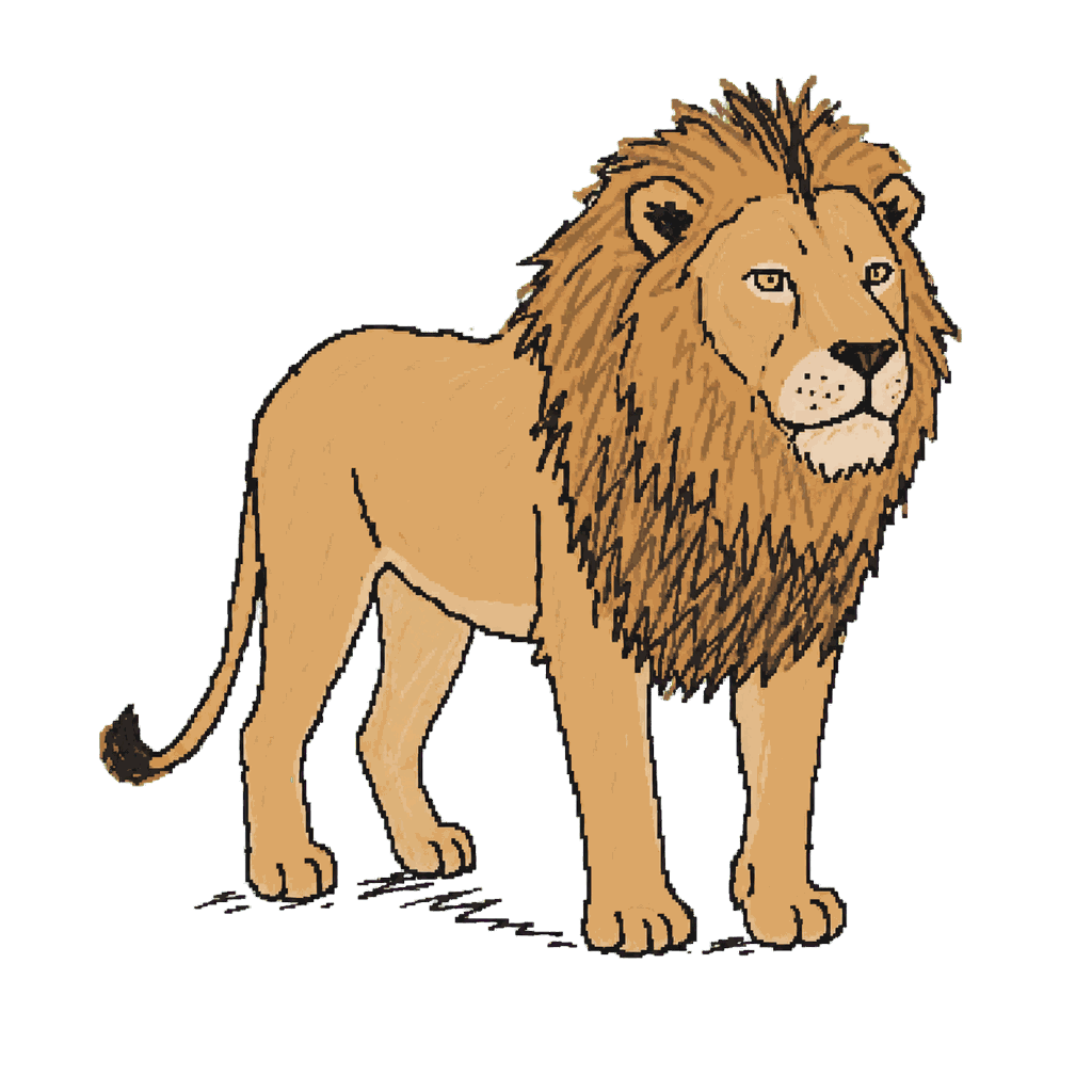 Archive illustration of Mohawk, African lion.