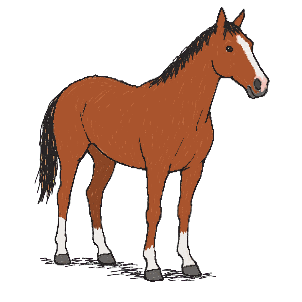 Archive illustration of Mongolian Groom, Thoroughbred racehorse.