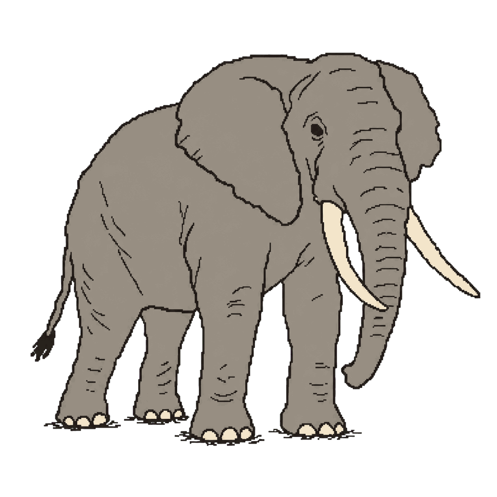 Archive illustration of Mountain Bull, African elephant.