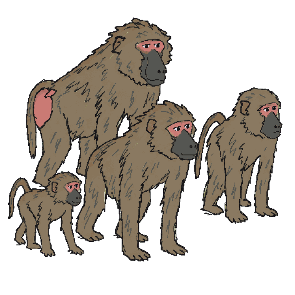 Archive illustration of Nuremberg Zoo baboon group, Guinea baboons.