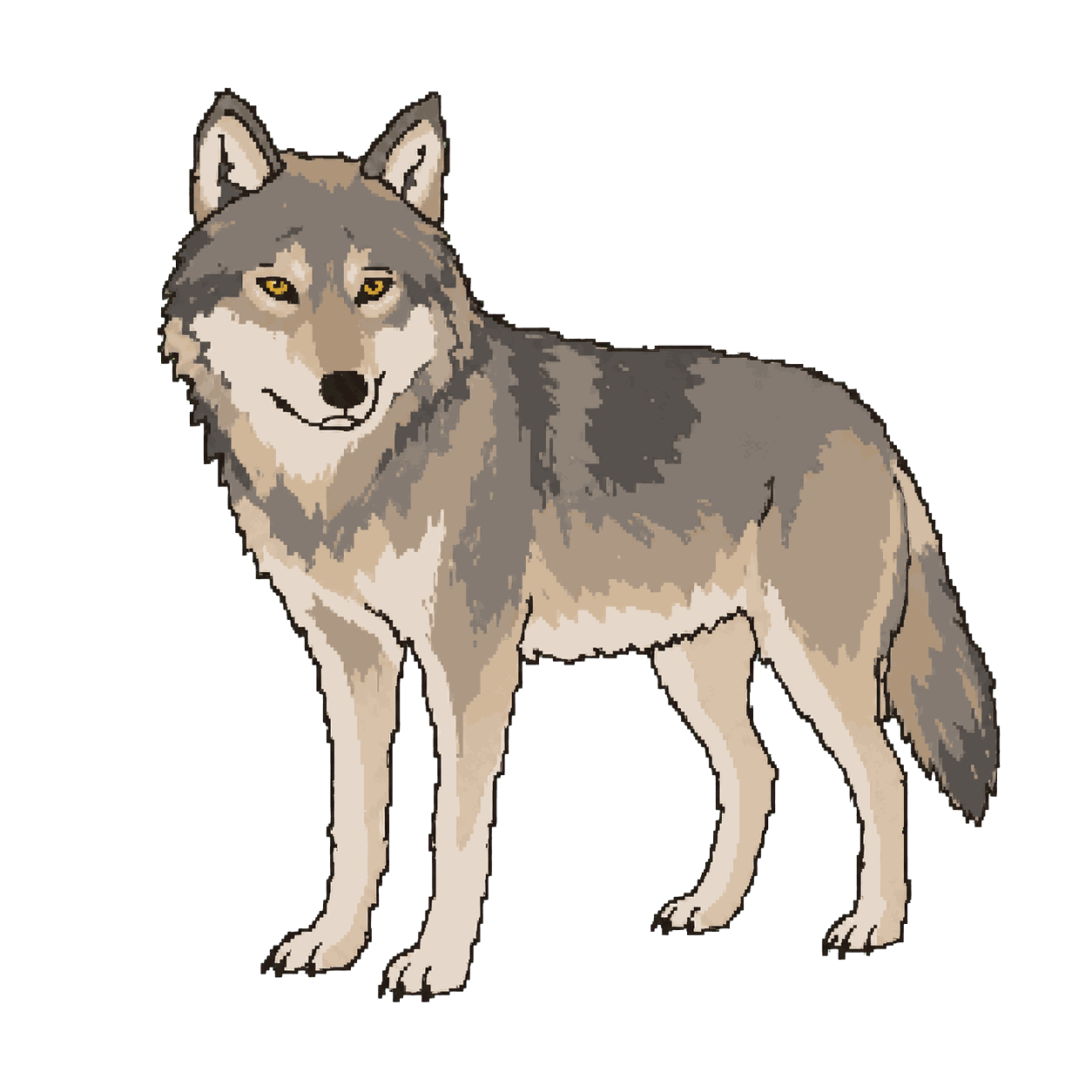 Archive portrait of 832F / O-Six, Gray wolf.