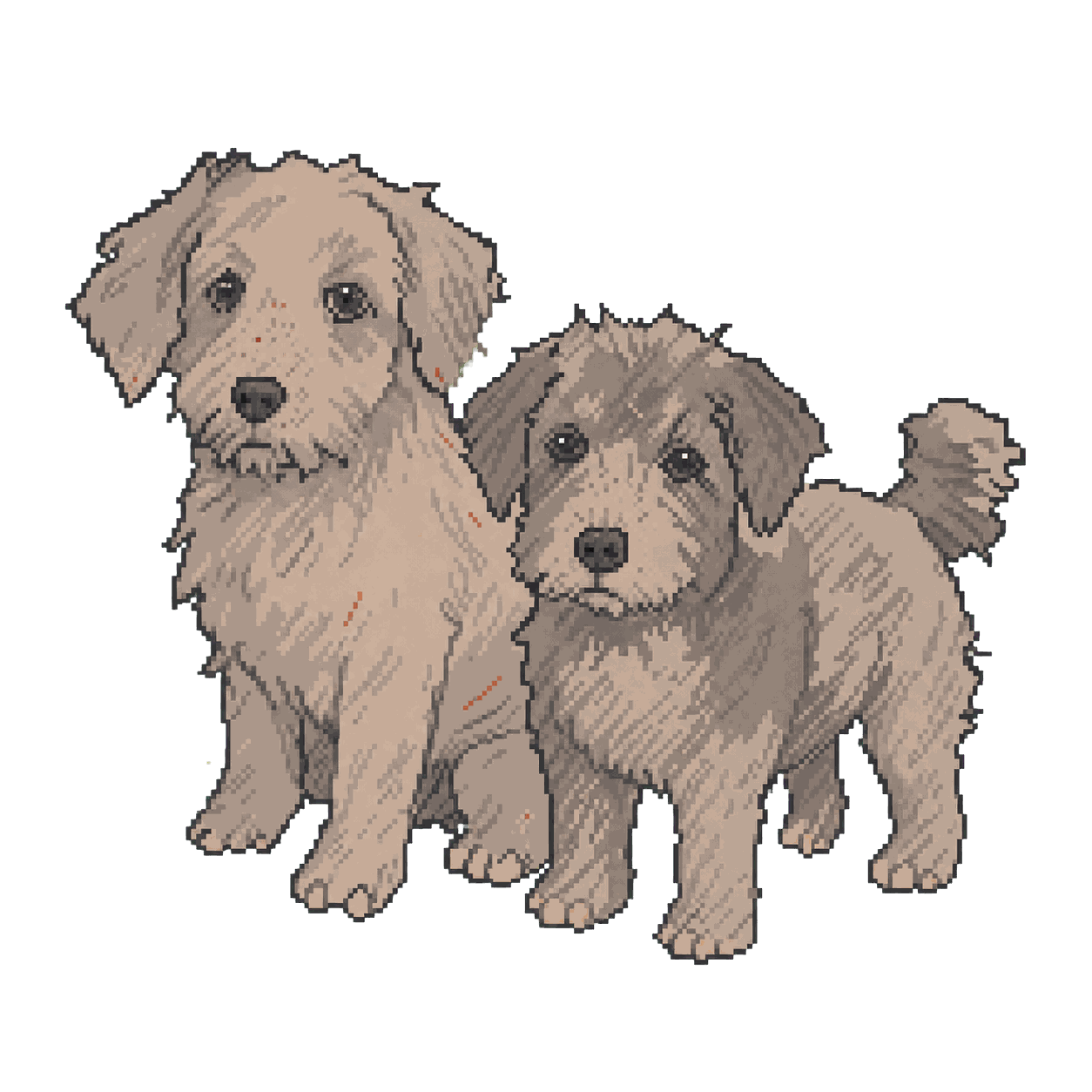 Archive illustration of Pchyolka and Mushka, Domestic dogs.