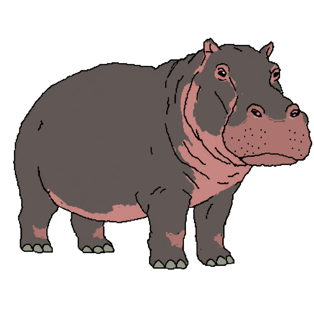 Archive illustration of Pepe, Common hippopotamus.