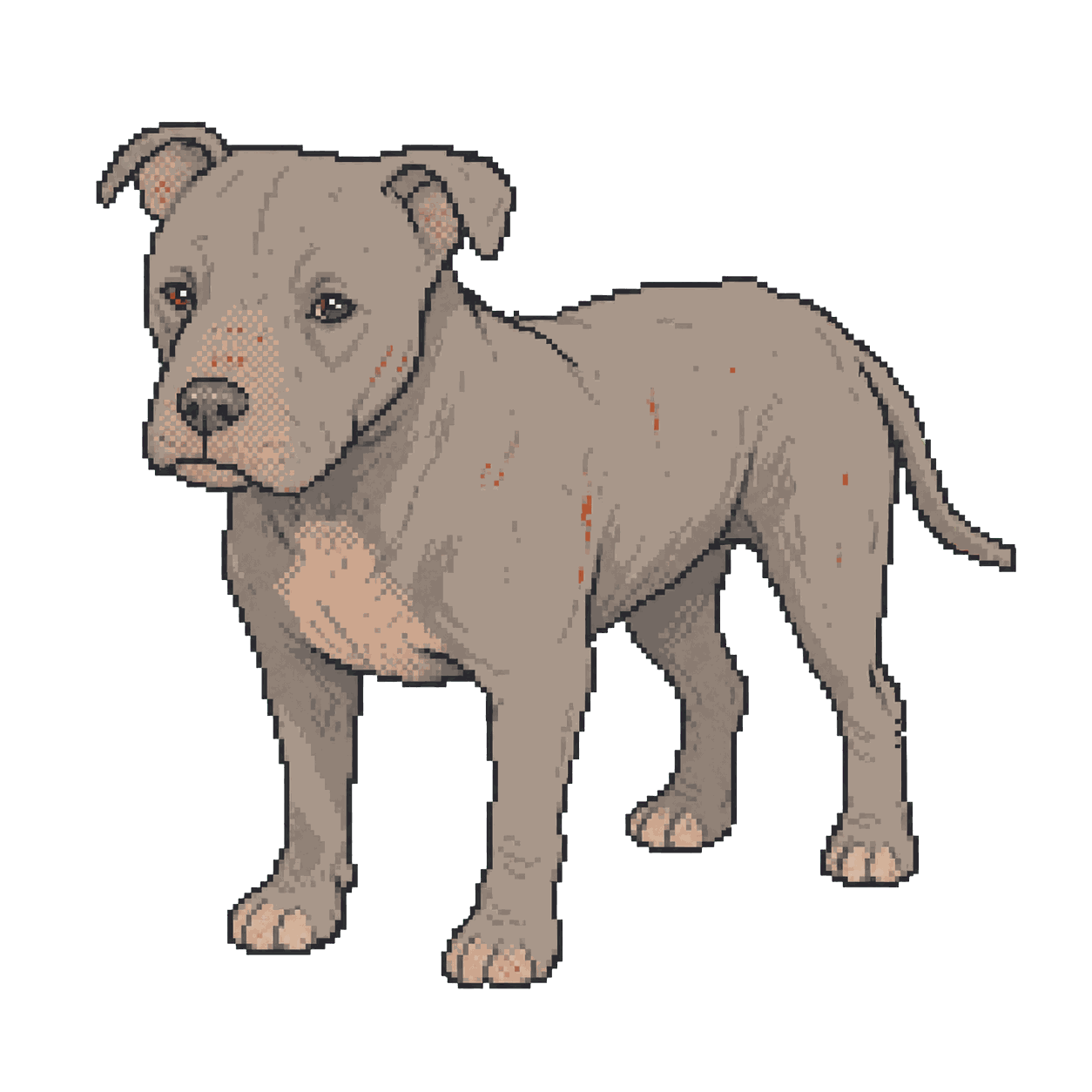 Archive illustration of Phoenix, Pit bull-type dog.