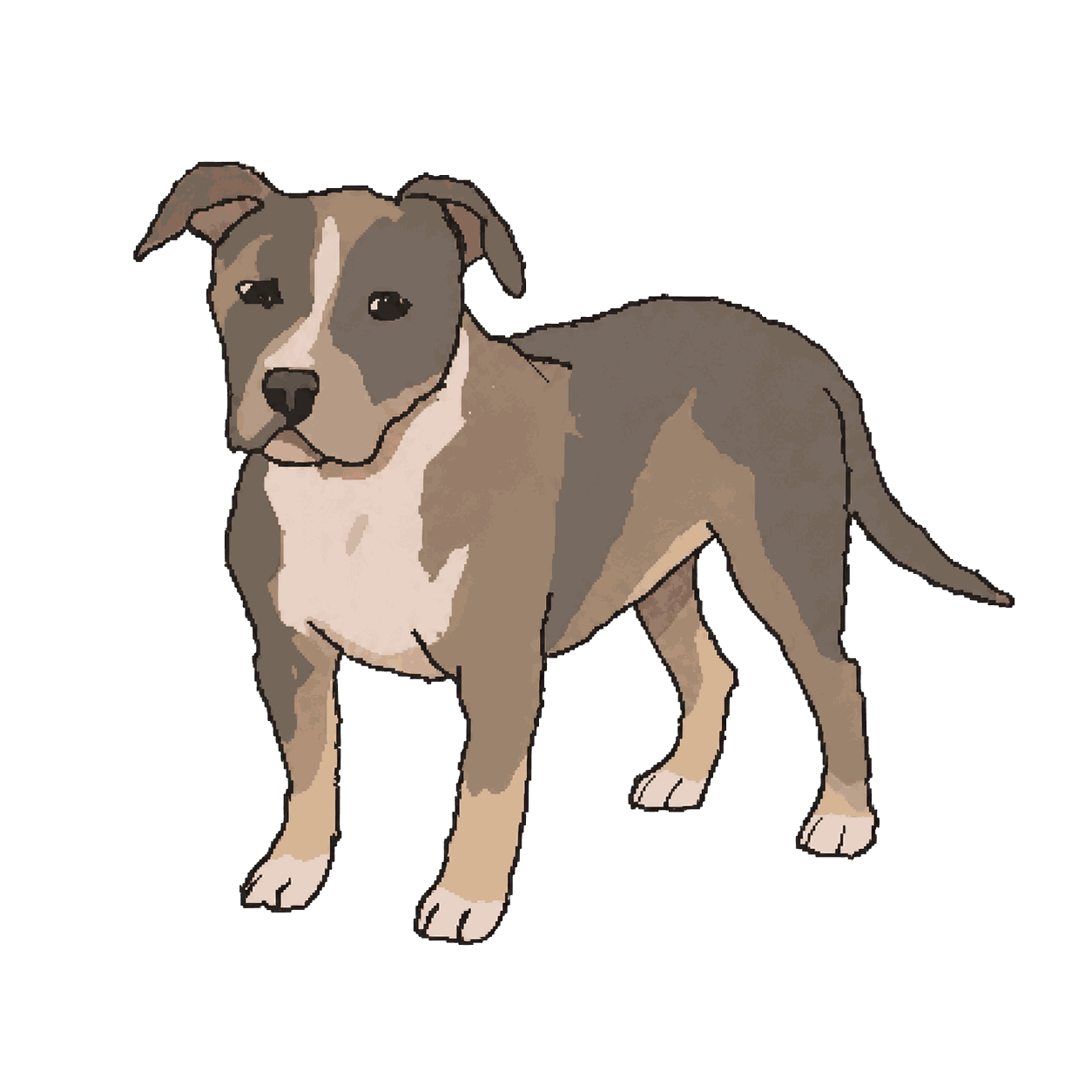 Archive portrait of Kiya / Puppy Doe, Domestic dog.