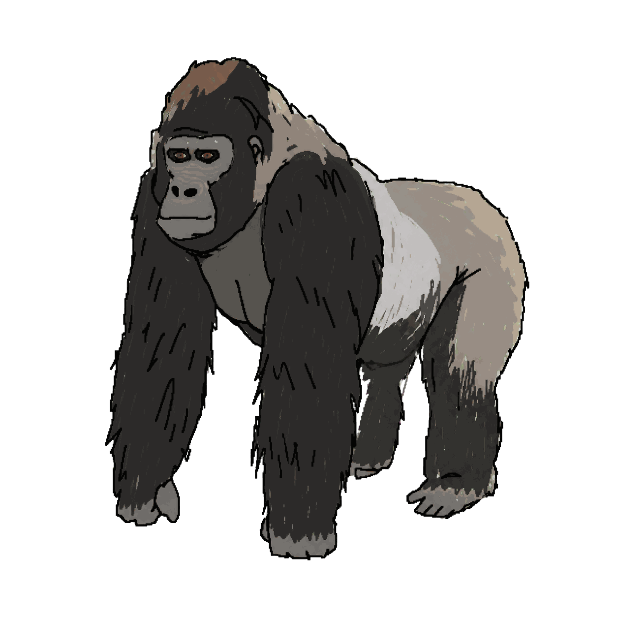 Archive portrait of Rafiki, Mountain gorilla.