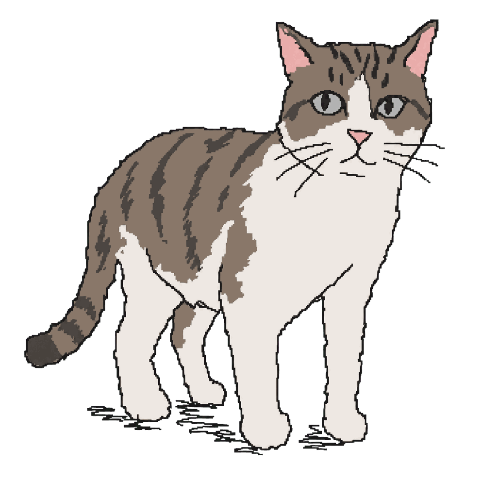 Archive illustration of The Mineola cat, Domestic cat.