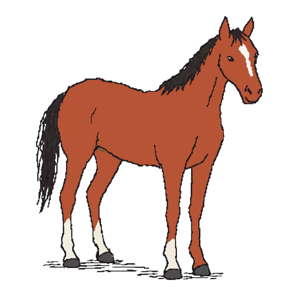 Archive illustration of Ruffian, Thoroughbred racehorse.