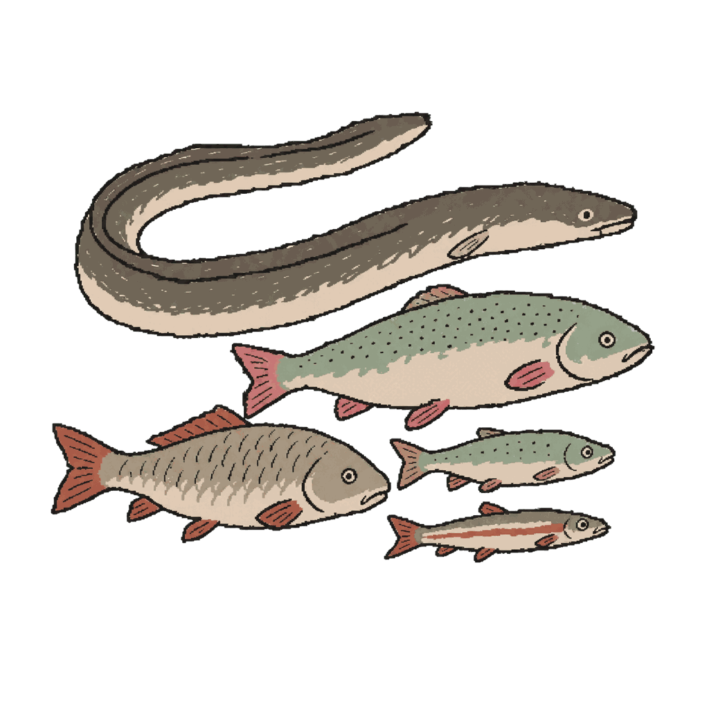 Archive illustration of Rhine fish after the Sandoz fire, European eels and other river fish.