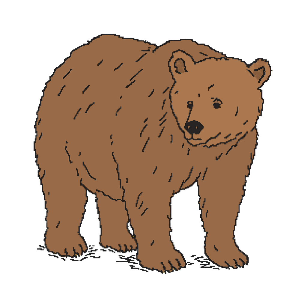 Archive illustration of Sarajevo Zoo's last bear, Brown bear.
