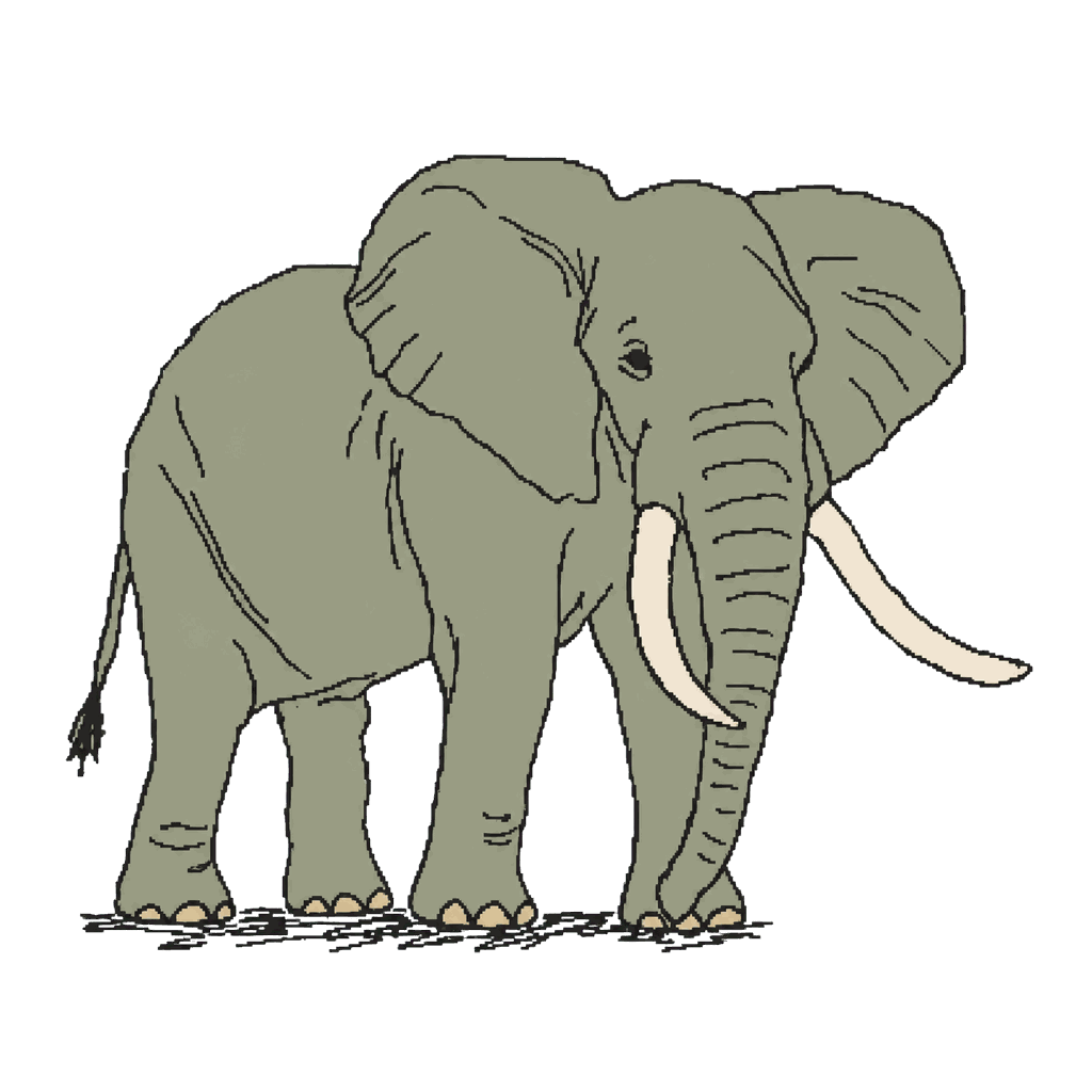 Archive illustration of Satao II, African elephant.