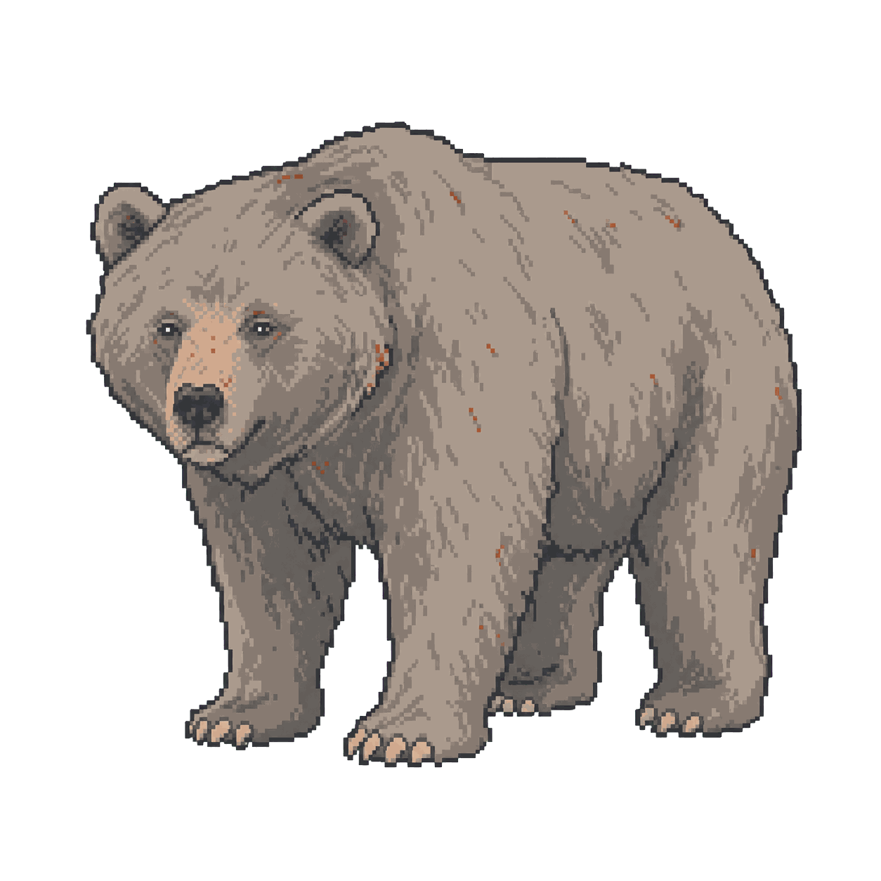 Archive illustration of Scarface, Grizzly bear.