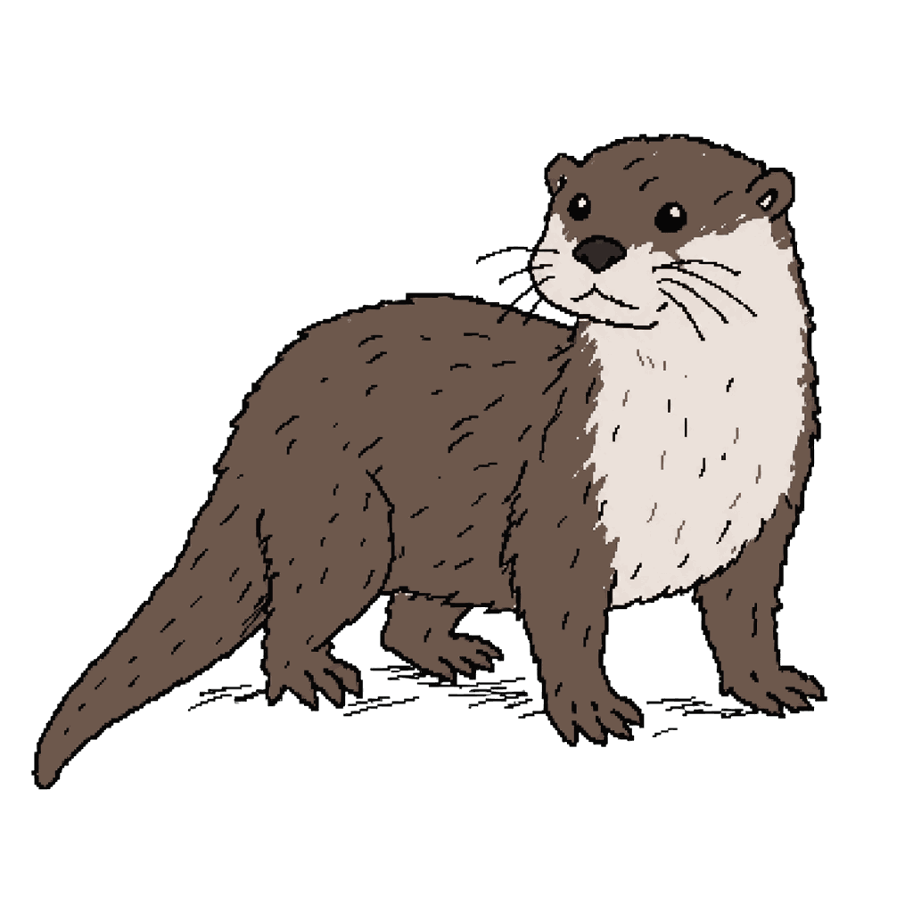 Archive illustration of The Selby Canal otter, Eurasian otter.