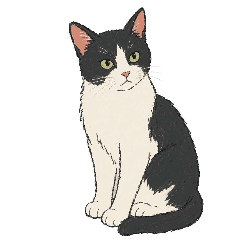 Archive portrait of Simon, Domestic cat.
