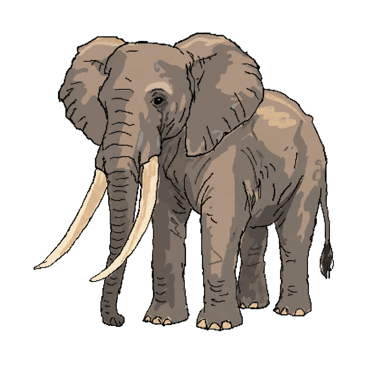 Archive portrait of Tolstoy, African savanna elephant.