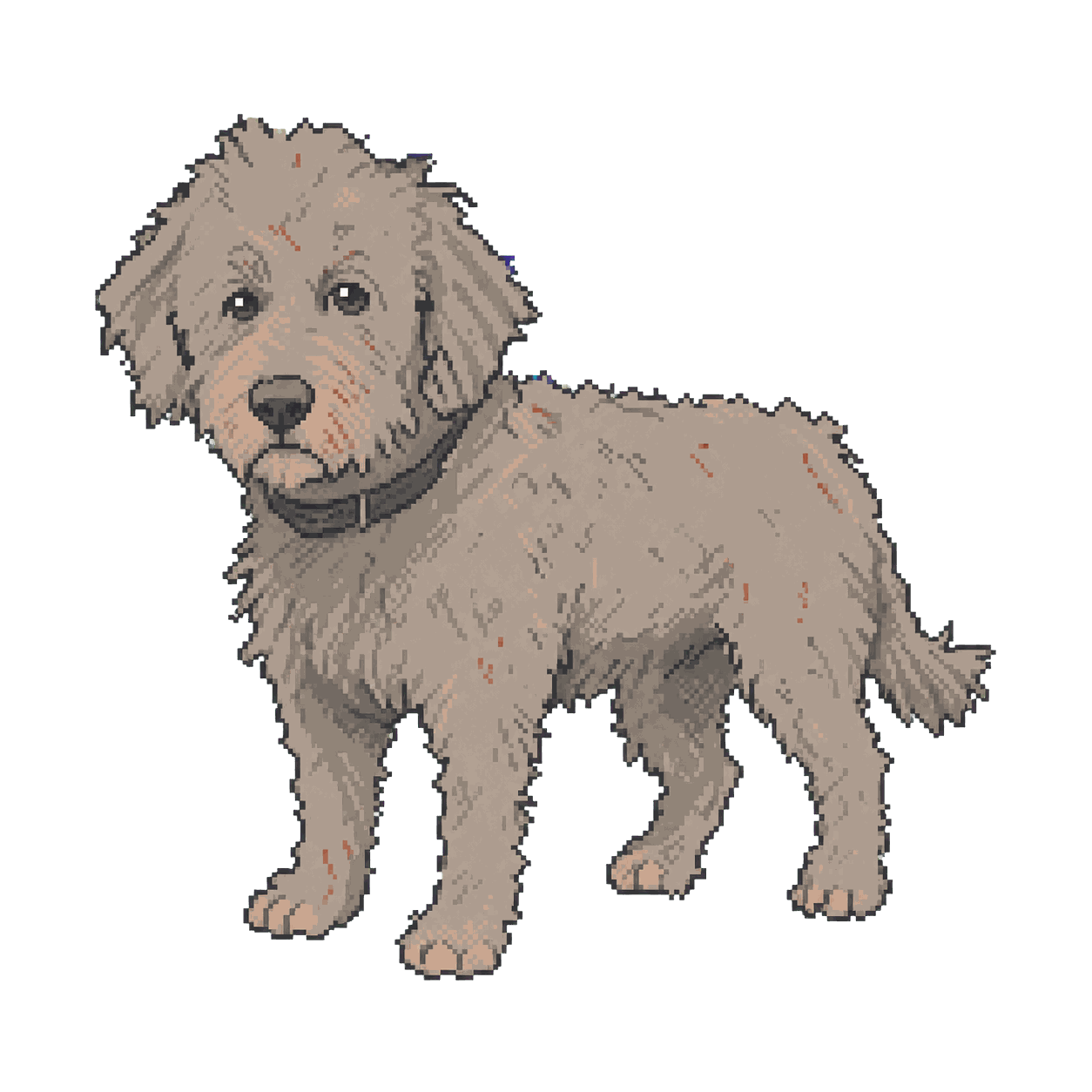 Archive illustration of Tommie, Domestic dog.