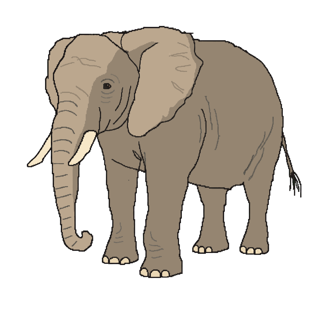 Archive portrait of Tyke, African elephant.