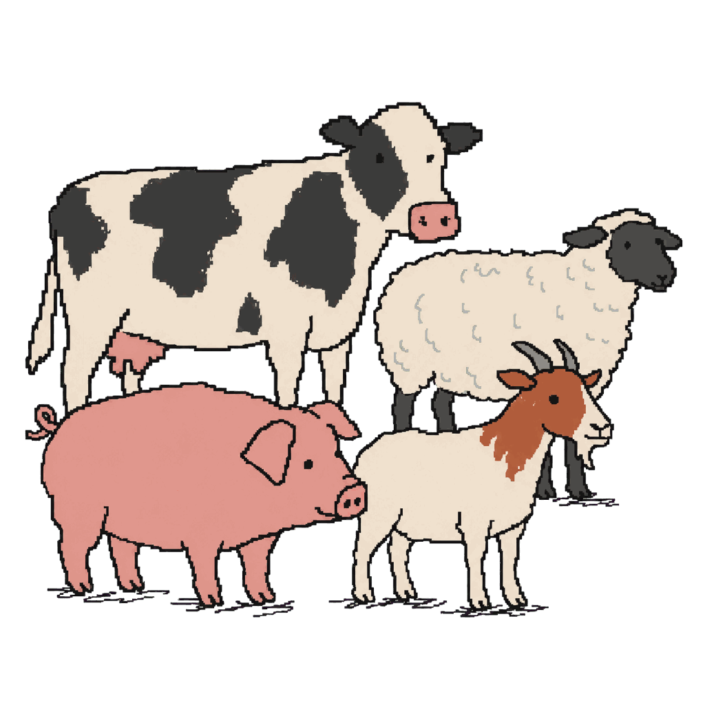 Archive illustration of United Kingdom foot-and-mouth cull animals, Cattle, sheep, pigs, and goats.