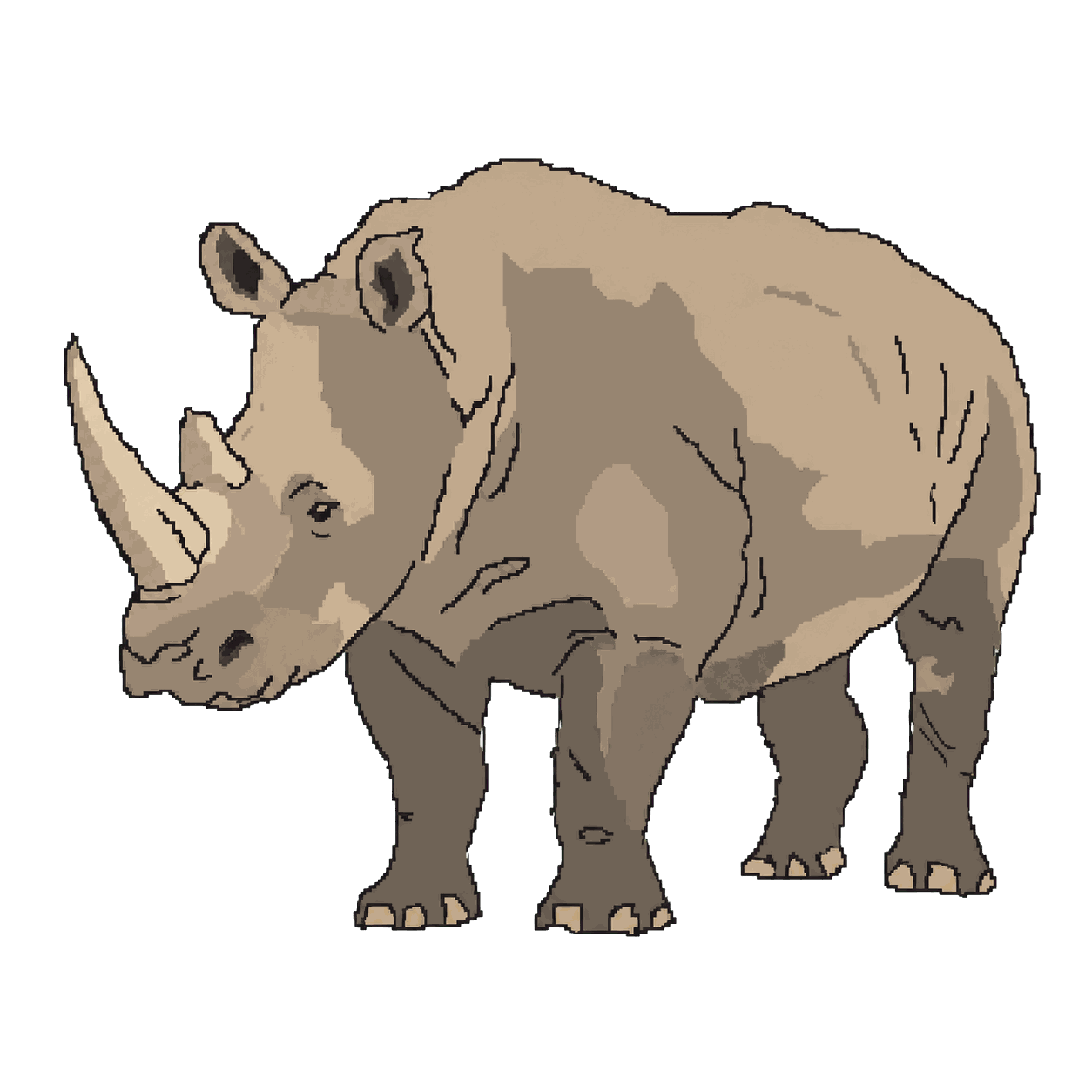 Archive portrait of Vince, Southern white rhinoceros.