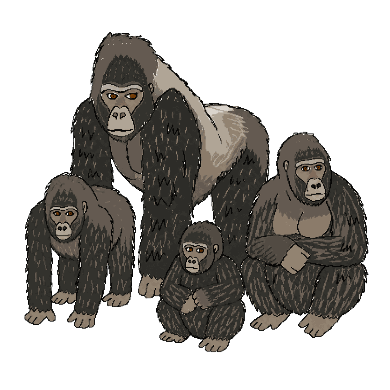 Archive portrait of Rugendo family, Mountain gorillas.
