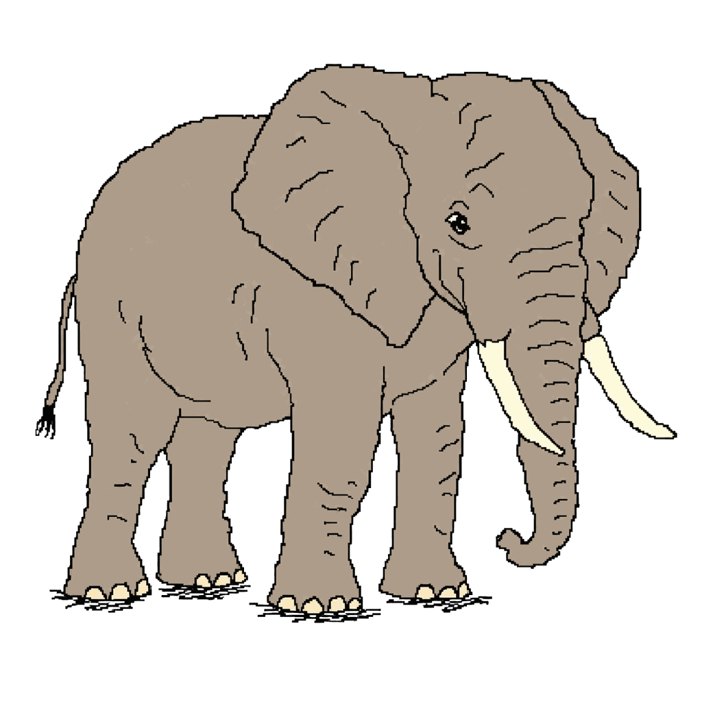 Archive illustration of Voortrekker, Desert-adapted African elephant.