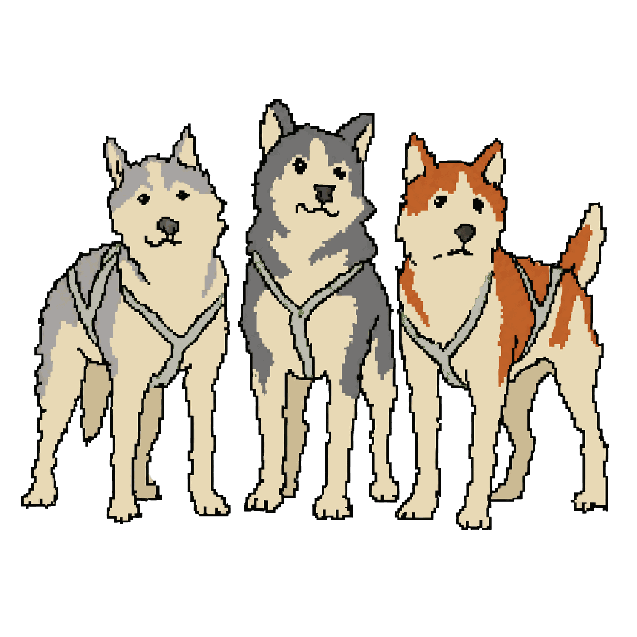 Archive portrait of Sled dogs, Sled dogs.