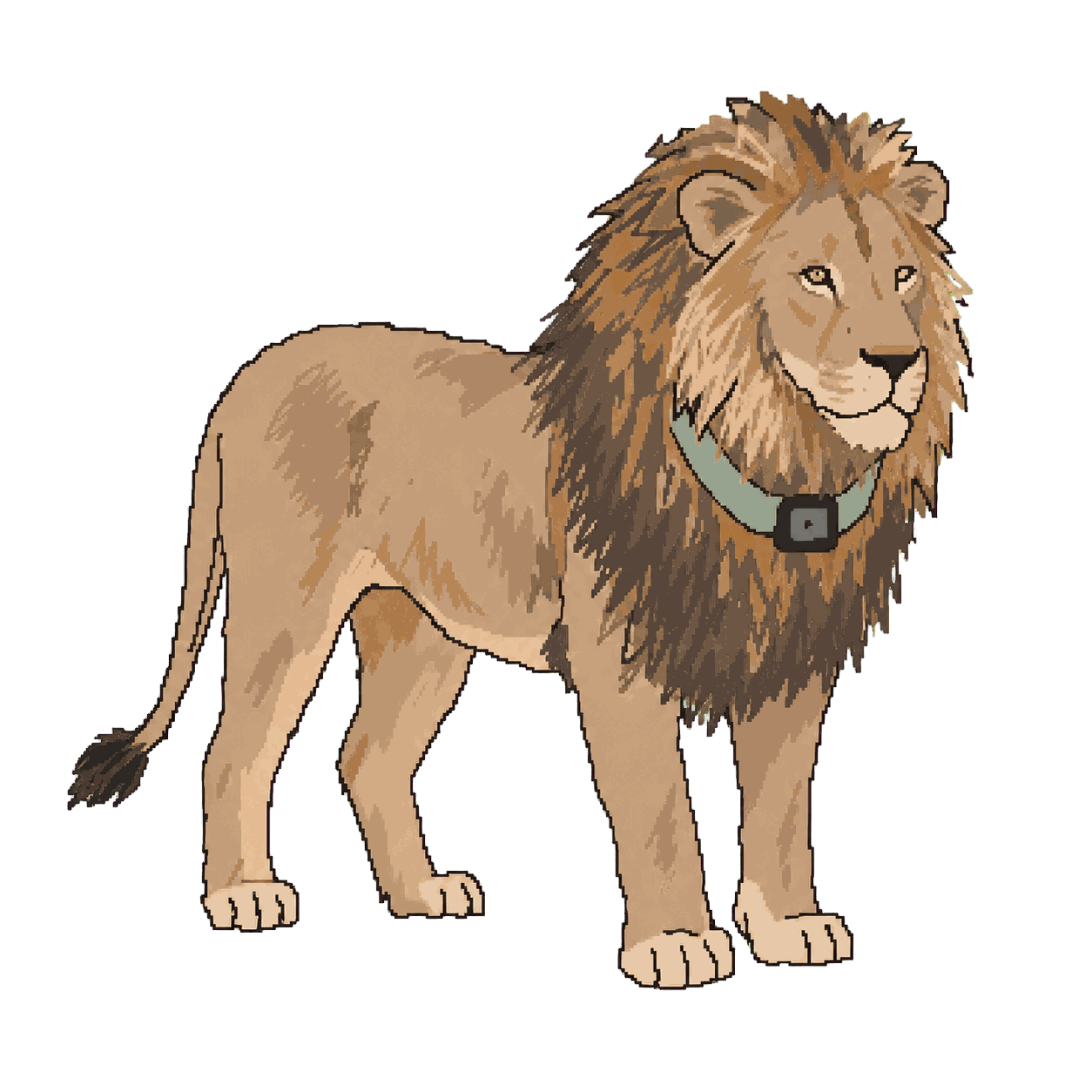 Archive portrait of Xanda, African lion.