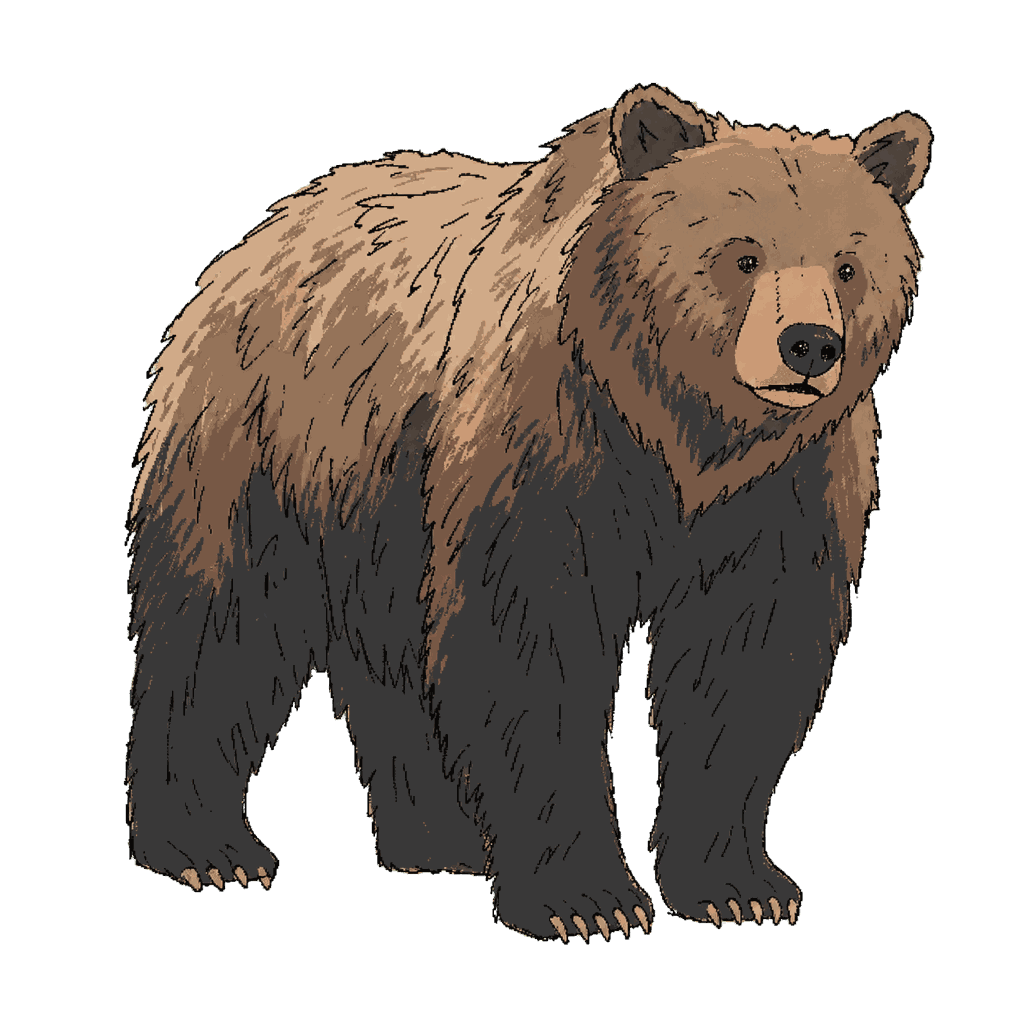 Archive portrait of Grizzly bear, Grizzly bear.